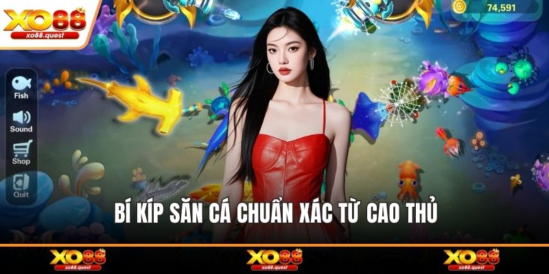 Bí kíp săn cá chuẩn xác từ cao thủ