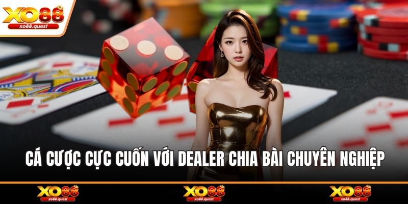 Cá cược cực cuốn với dealer chia bài chuyên nghiệp