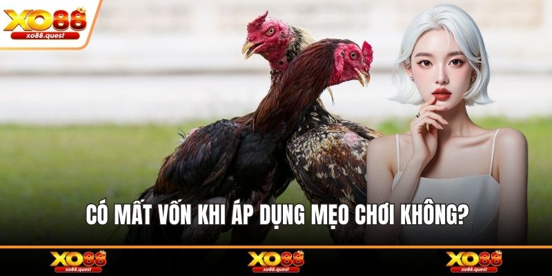 Có mất vốn khi áp dụng mẹo chơi không?