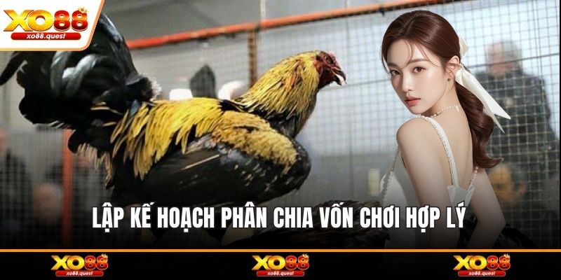 Lập kế hoạch phân chia vốn chơi hợp lý