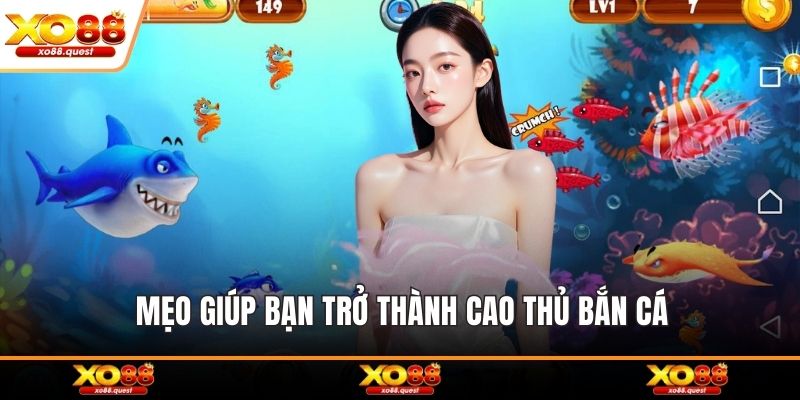 Mẹo giúp bạn trở thành cao thủ bắn cá