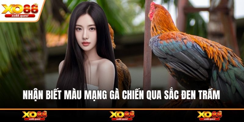Nhận biết màu mạng gà chiến qua sắc đen trầm