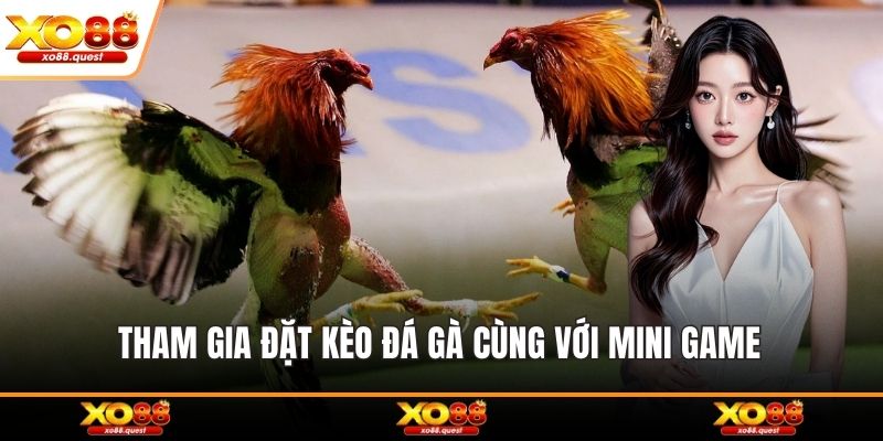 Tham gia đặt kèo đá gà cùng với mini game