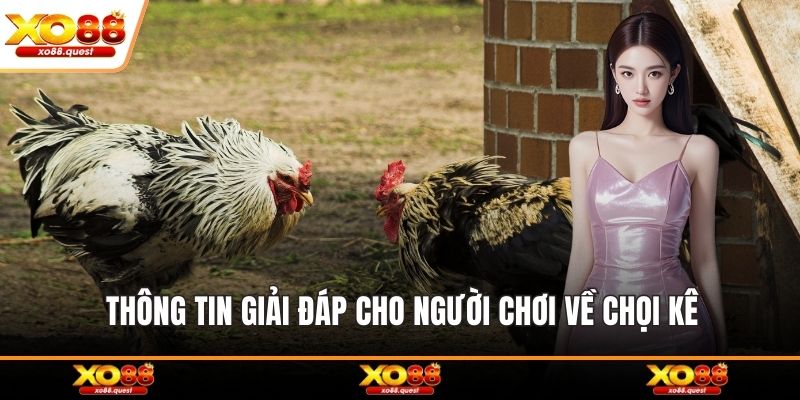 Thông tin giải đáp cho người chơi về chọi kê