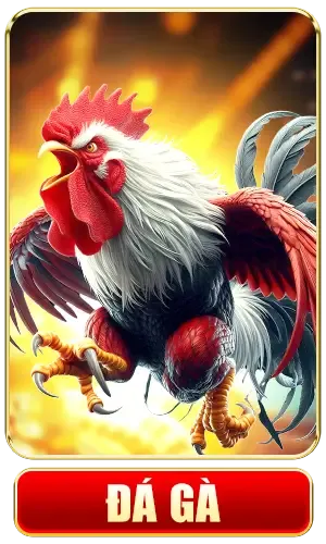 đá gà